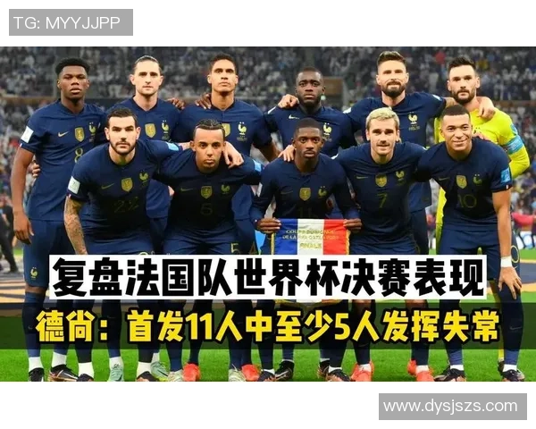 回顾2014年法国队足球明星阵容及其在世界杯上的精彩表现